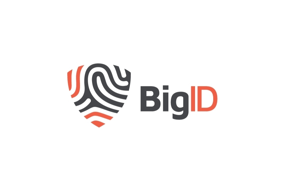 BigID Professional Course